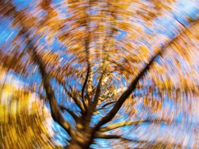 Calming Your Fear of Dizziness